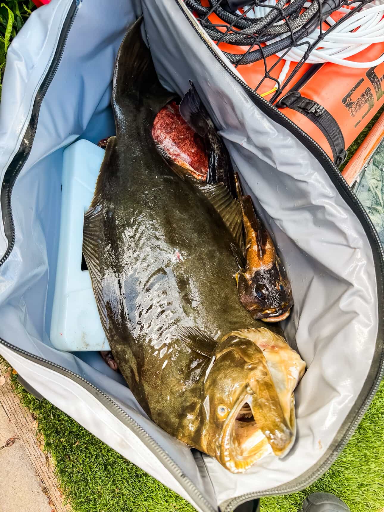 45QT Fish Cooler Bag With Flat Bottom