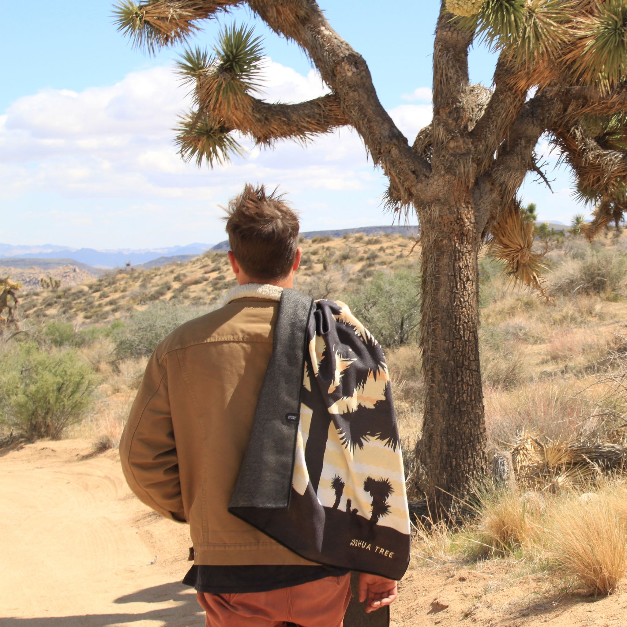 Original Towel: Joshua Tree National Park