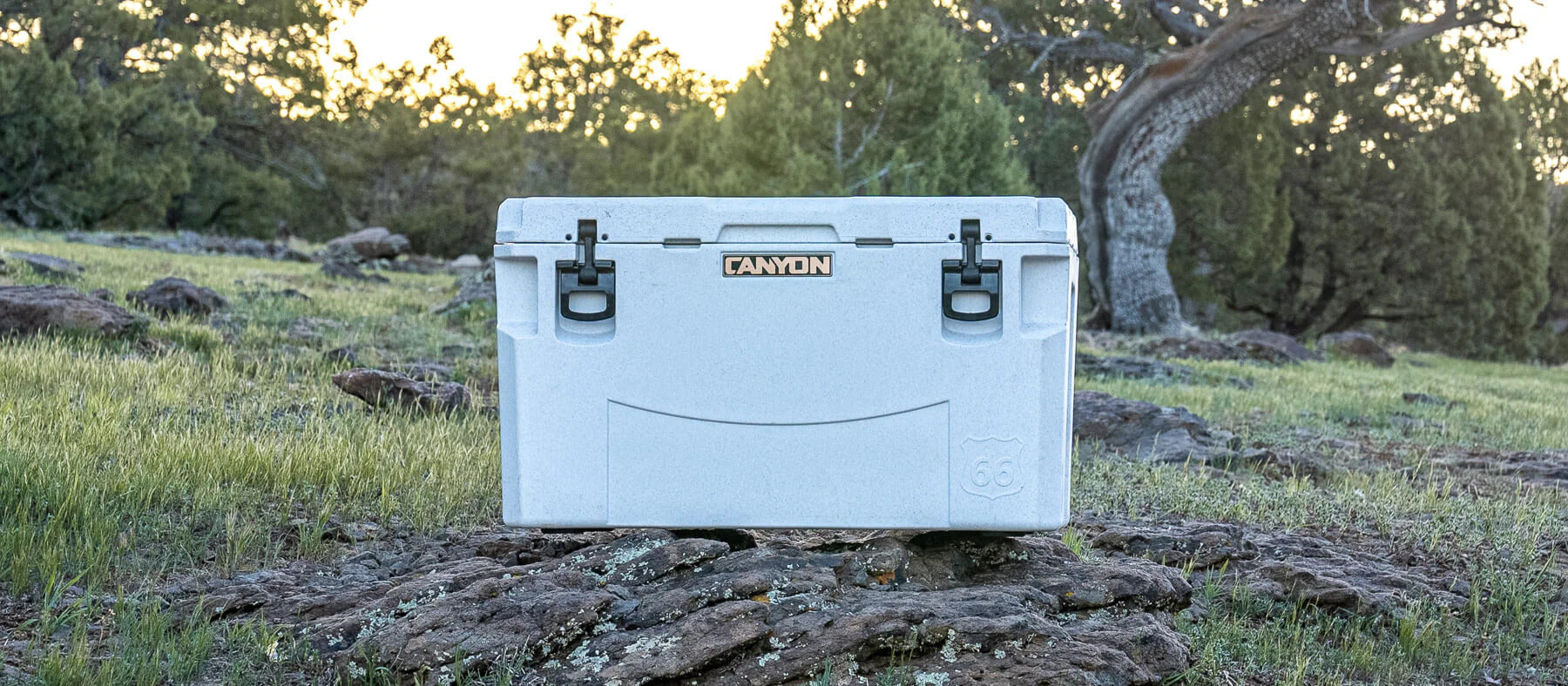 COOLERS
