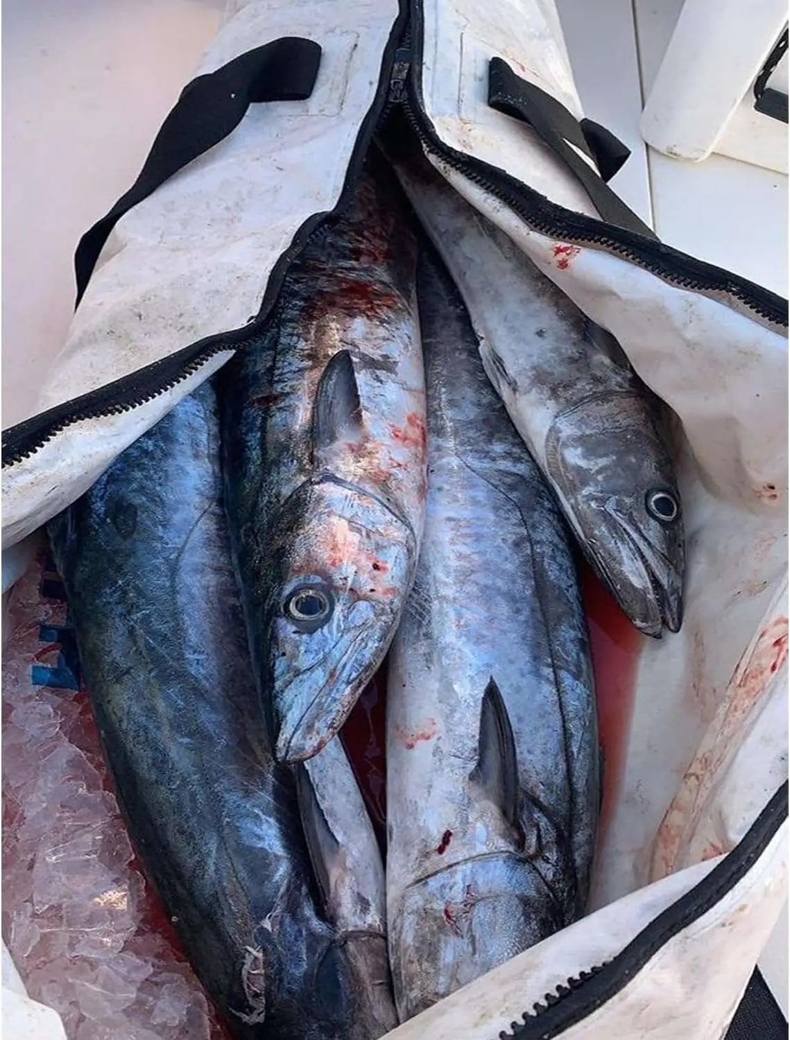 84QT Fish Cooler Bag With Flat Bottom