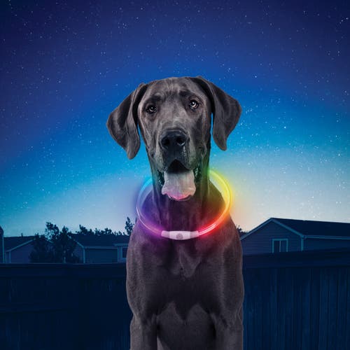 NiteIze - NiteHowl Rechargeable Safety Necklace-Camping Acc's-NiteIze-SOTAR