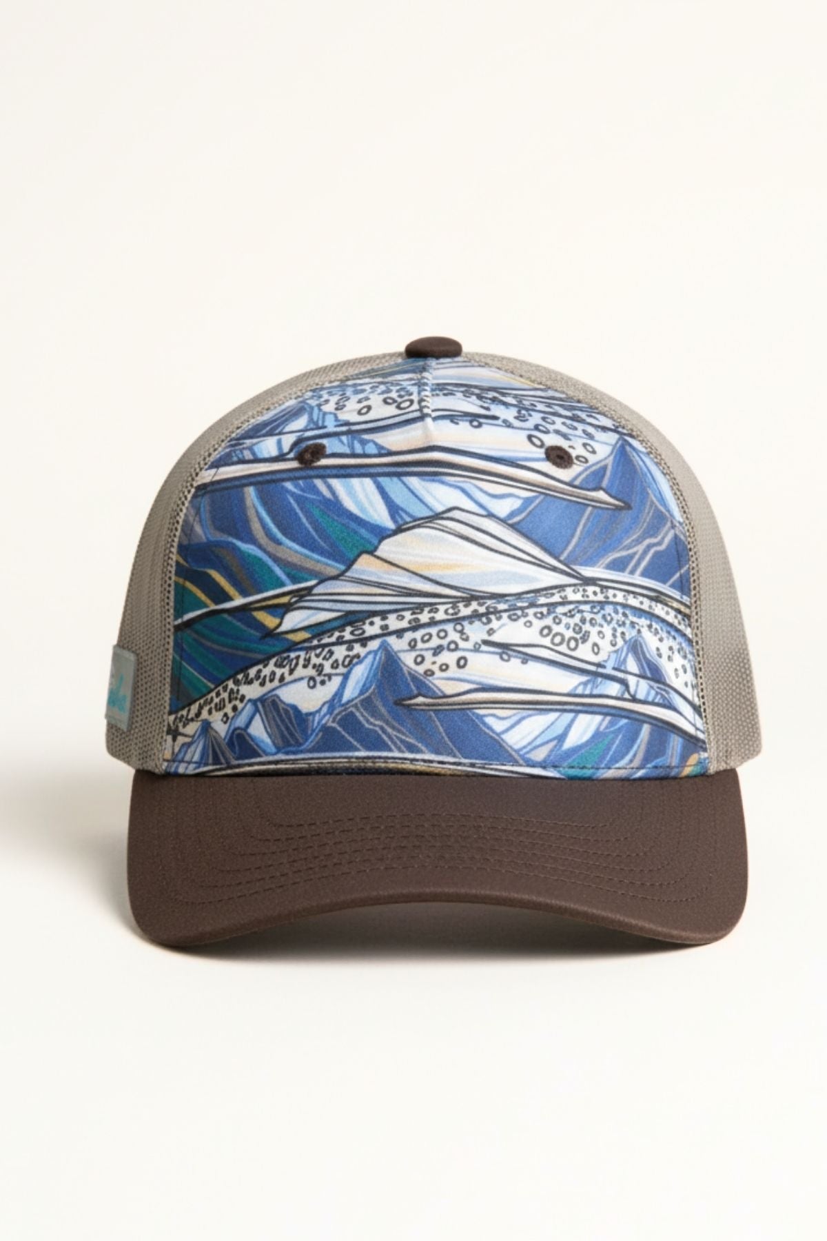 FISHE Rainbow Ridge Abstract Trucker Hat