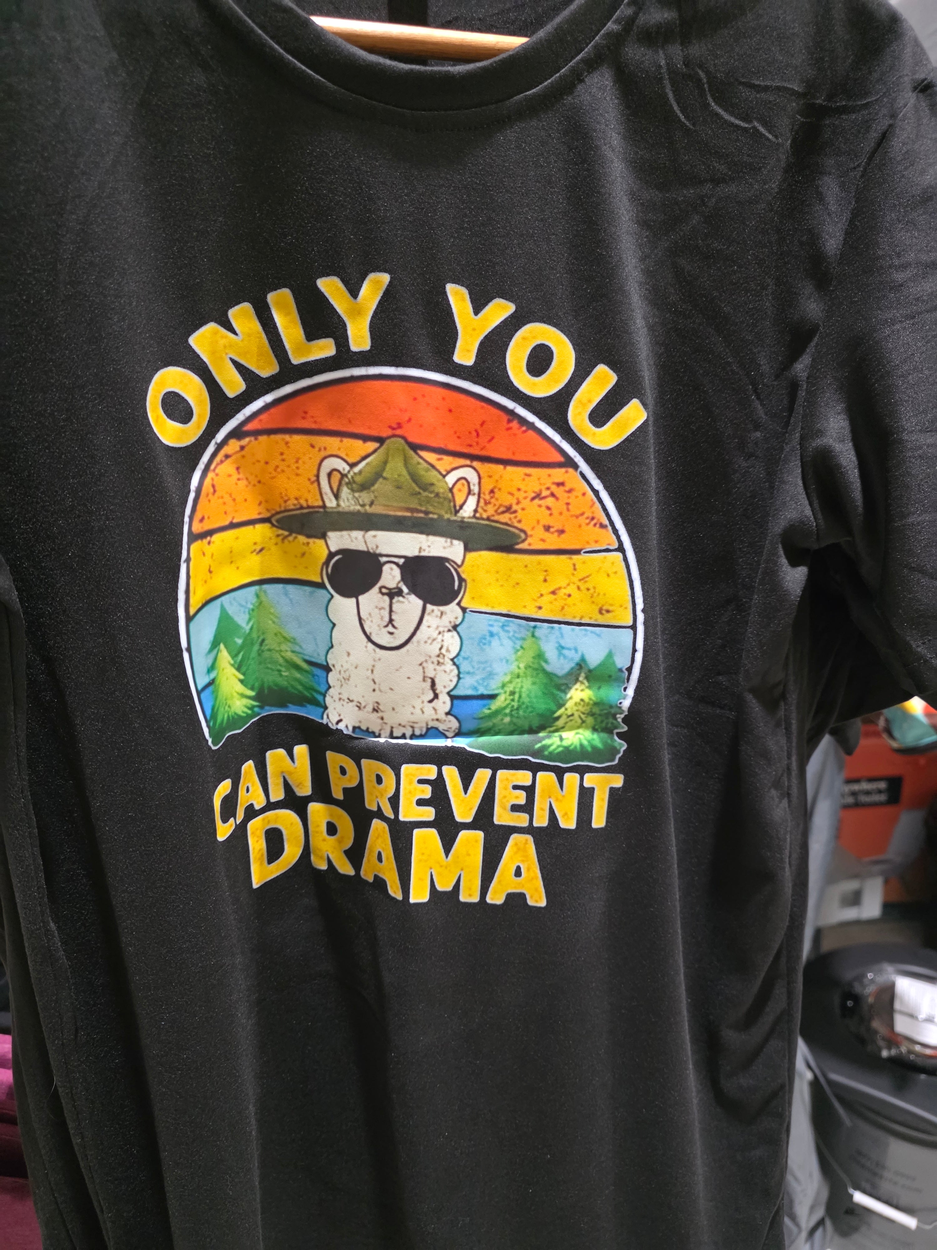 "Only You Can a Prevent Drama" Men's Funny T-Shirt